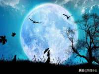 常州盒盒达网络信息科技有限公司