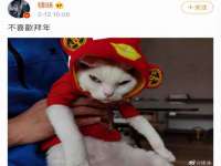 常州盒盒达网络信息科技有限公司