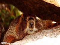常州盒盒达网络信息科技有限公司