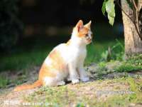 常州盒盒达网络信息科技有限公司